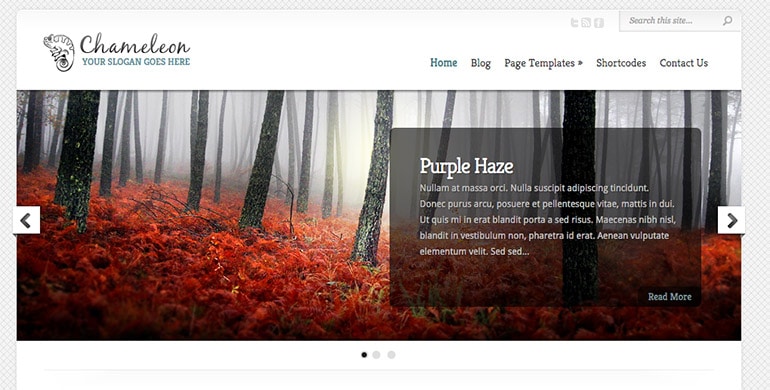 chameleon theme wordpress