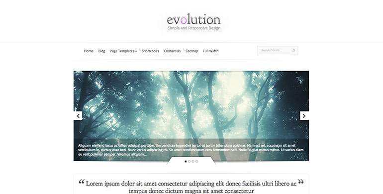 evolution wordpress theme