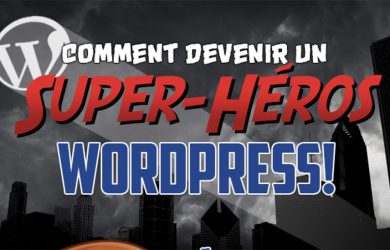 infographie wordpress