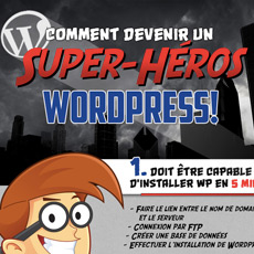 infographie wordpress