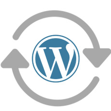 wordpress hide updates