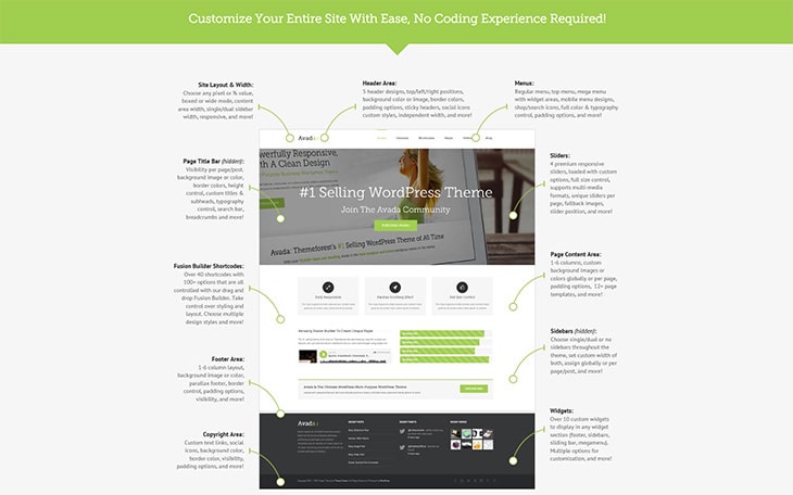 Avada theme features