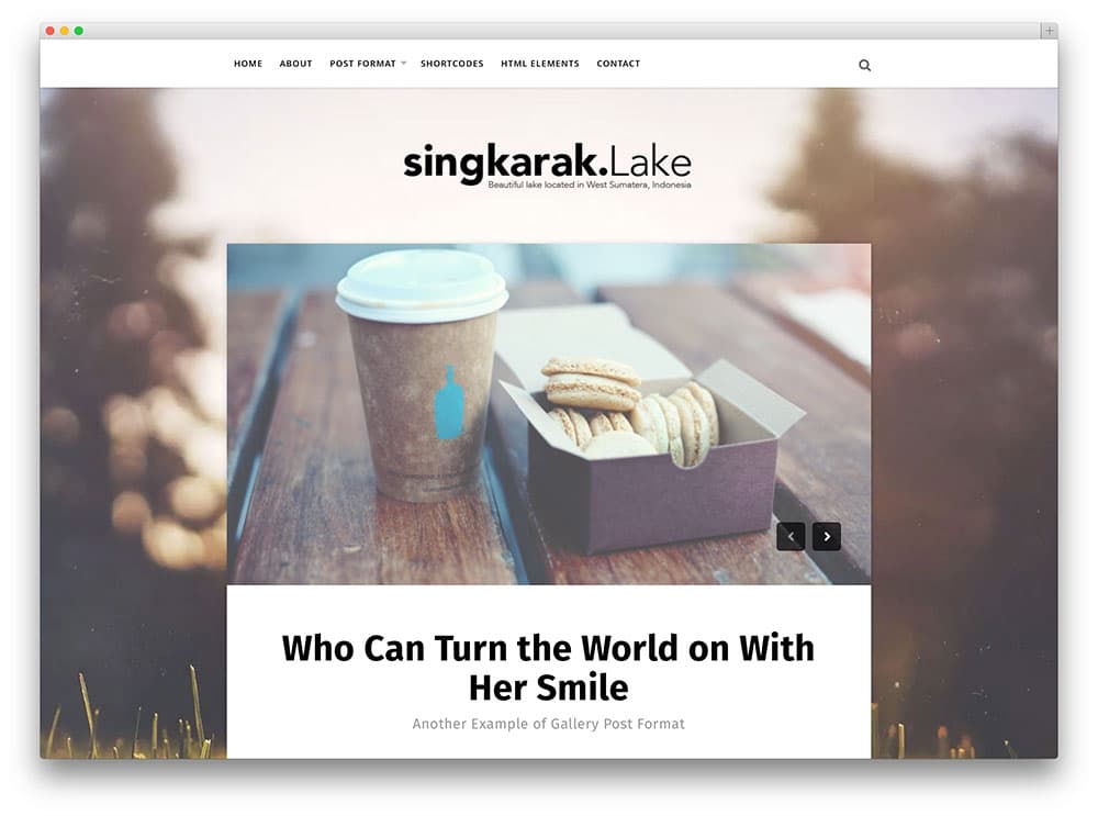 Singkarak - thème de blog splendide