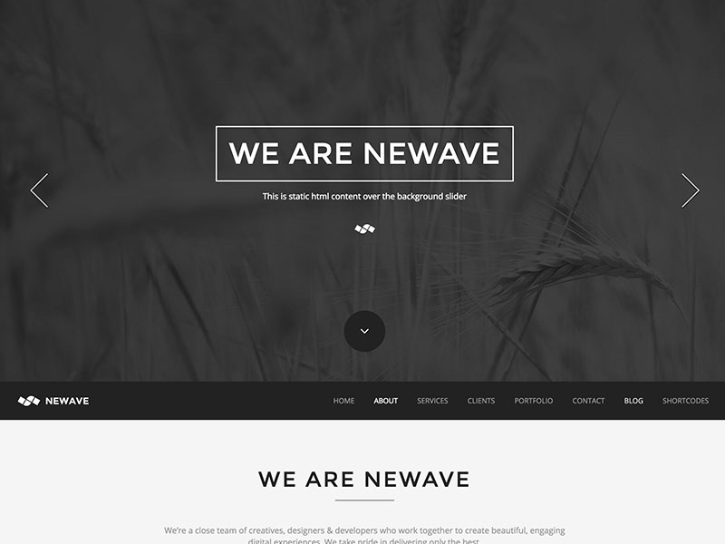 newave one pager