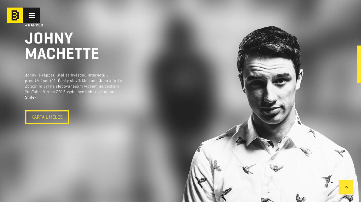 divi3-theme-1