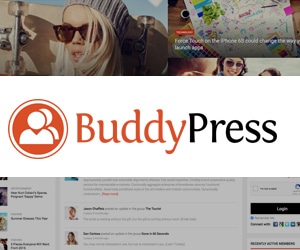 thèmes BuddyPress