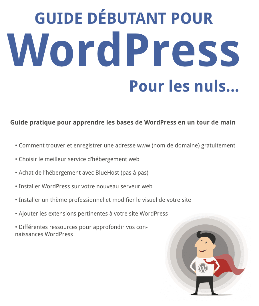 pdf WP Pour les Nuls screenshot1