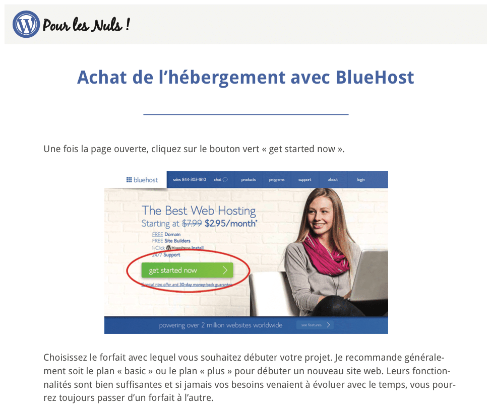 pdf WordPress Pour les Nuls screenshot3