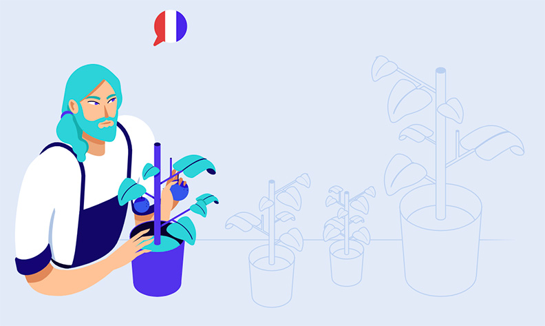 kinsta hébergeur WordPress français