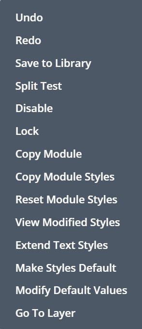 Divi options