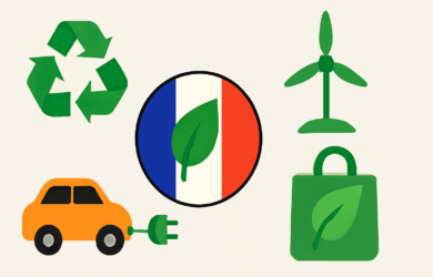 WordPress écoresponsable en France: Top alternatives à Greenshift